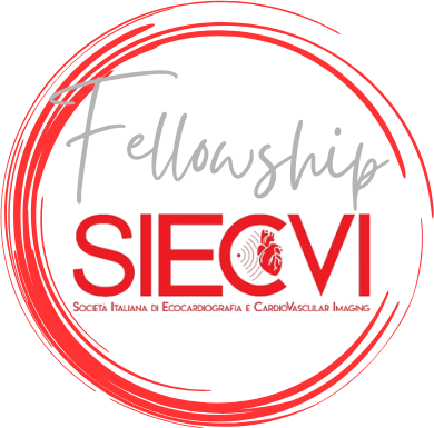 Fellowsip SIECVI